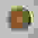 item-79337141=4