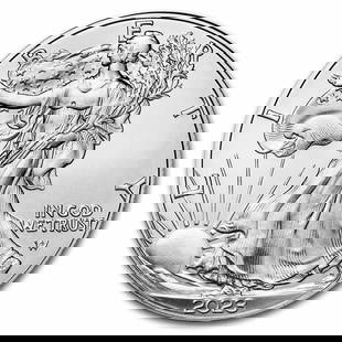 2023 1 oz American Eagle Silver Coin: One 2023 1 oz American Eagle Silver Coin.