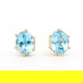 Plated 18KT Yellow Gold 5.50ctw Blue Topaz Earrings