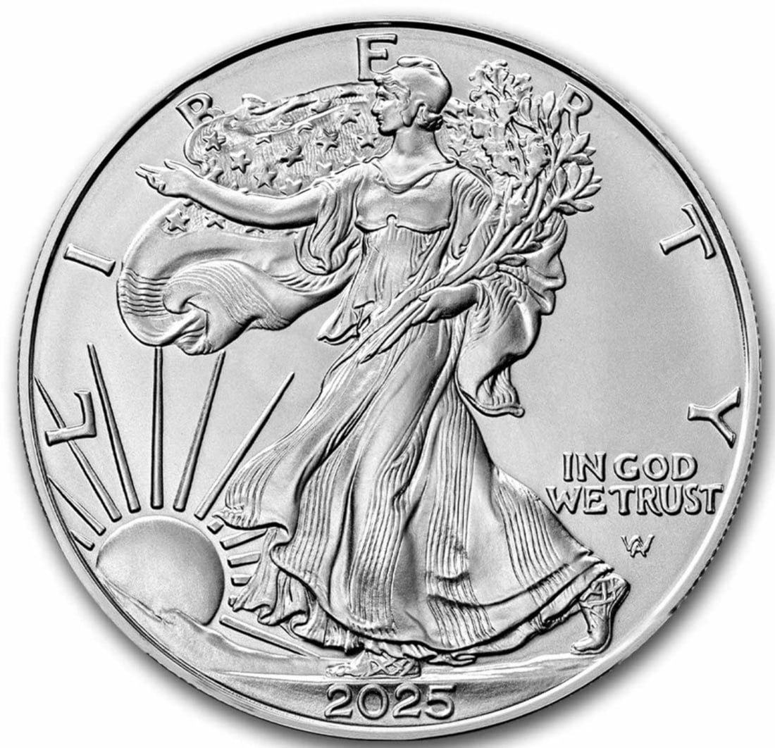 2025 American Silver Eagle 1oz Coin: One 2025 American Silver Eagle 1oz Coin.