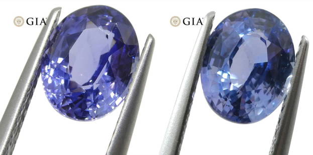 Majestic GIA Certified 2.50 Ct Natural Sapphire: Unheated Color-Changing from Violet Blue to Purple 2.50 Ct Sapphire measuring 8.70 x 6.79 x 4.81 mm with a Brilliant Oval Cut. It is sure to catch the eye of anyone passing by with its stunning hue! O
