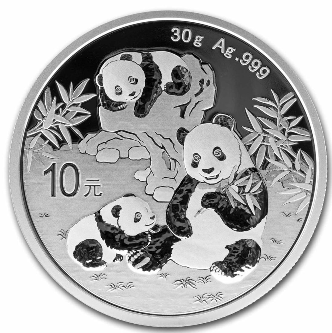 2025 China Panda 30 Gram Silver Coin: One 2025 China Panda 30 Gram Silver Coin.