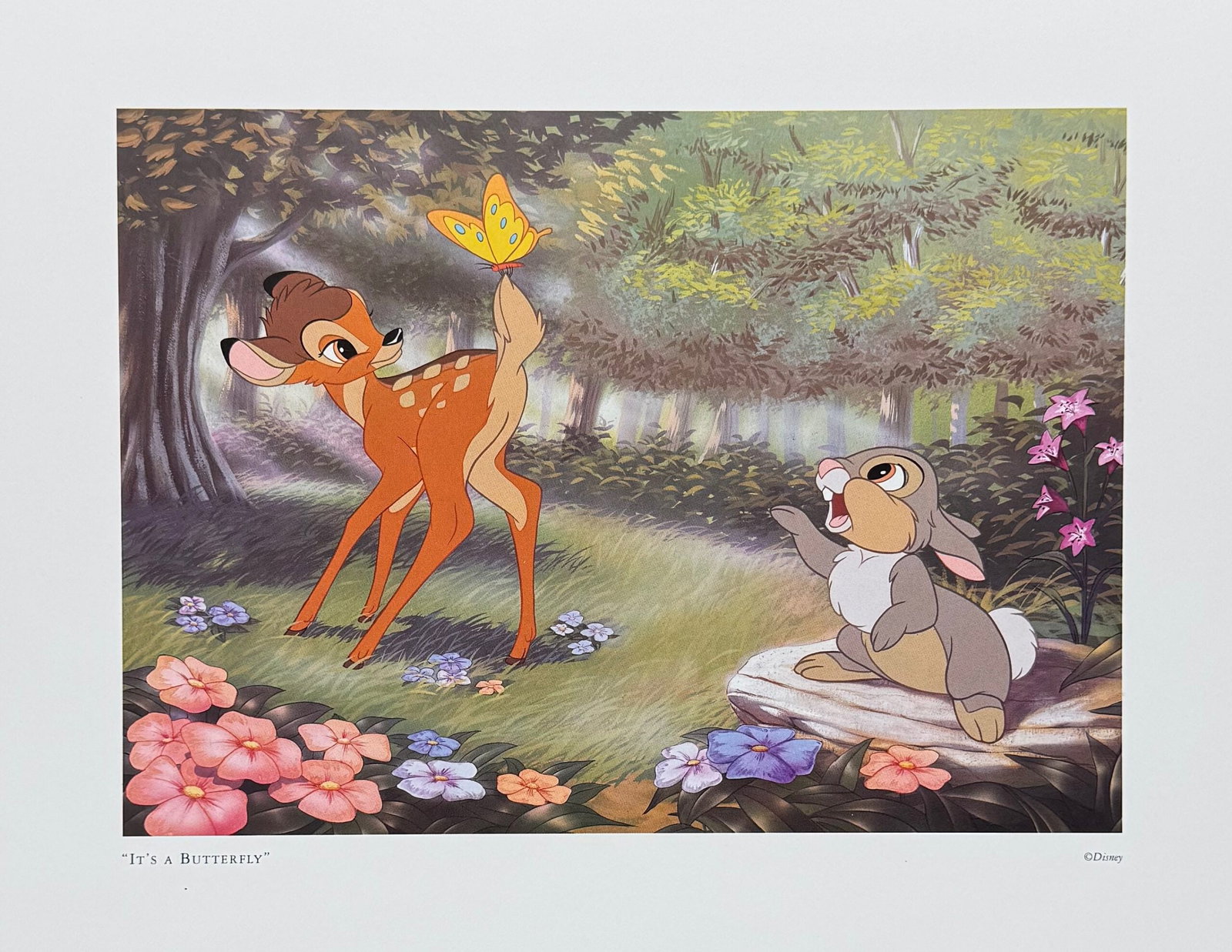 Disney BAMBI & THUMPER Lithograph: This is an offset lithograph titled Its a Butterfly from Disneys classic film Bambi. Paper measures: 14 inches x 11 inches. Image measures 9 inches x 6.5 inches. Comes unframed. In excellent condition