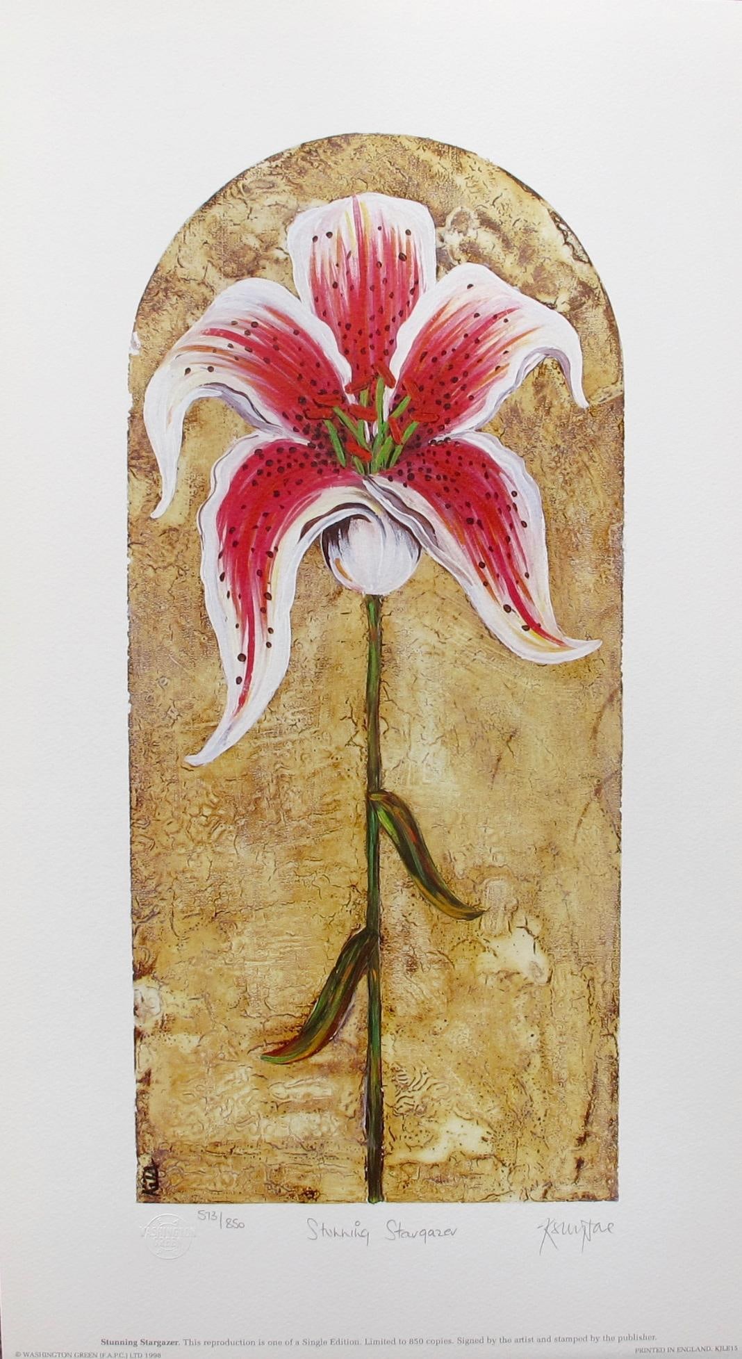 Kelly Jane STUNNING STARGAZER Hand Signed Limited Edition Lithograph: This is a limited edition hand signed lithograph by Kelly Jane titled STUNNING STARGAZER. Medium: Photo Lithography on Feltmark Paper Signed and Numbered by the artist]. This piece is numbered from an