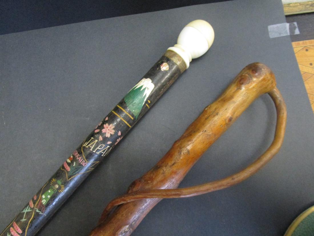 Lot of Canes & walking stick (1 of 2)