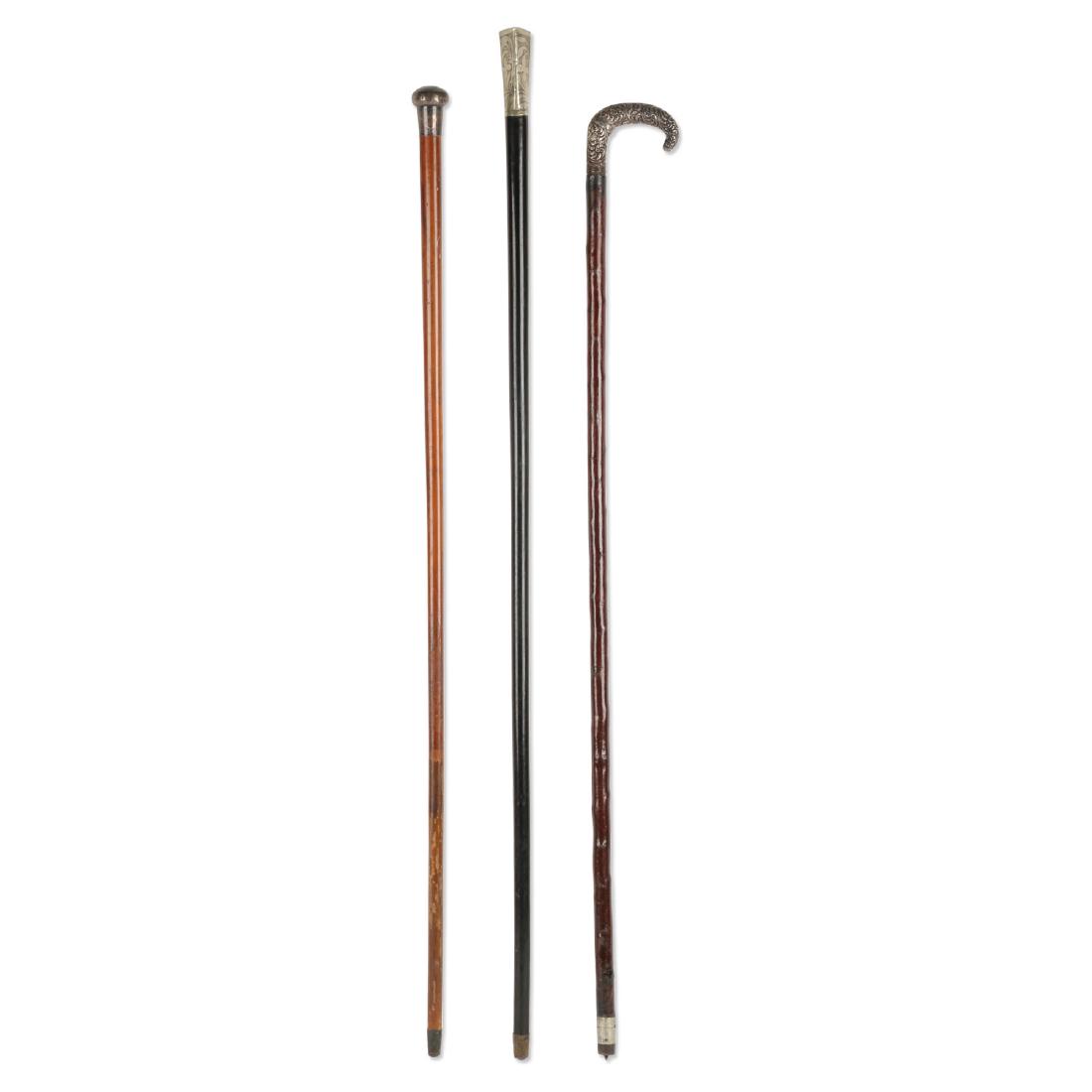 Sterling & Silver Topped Canes (1 of 14)