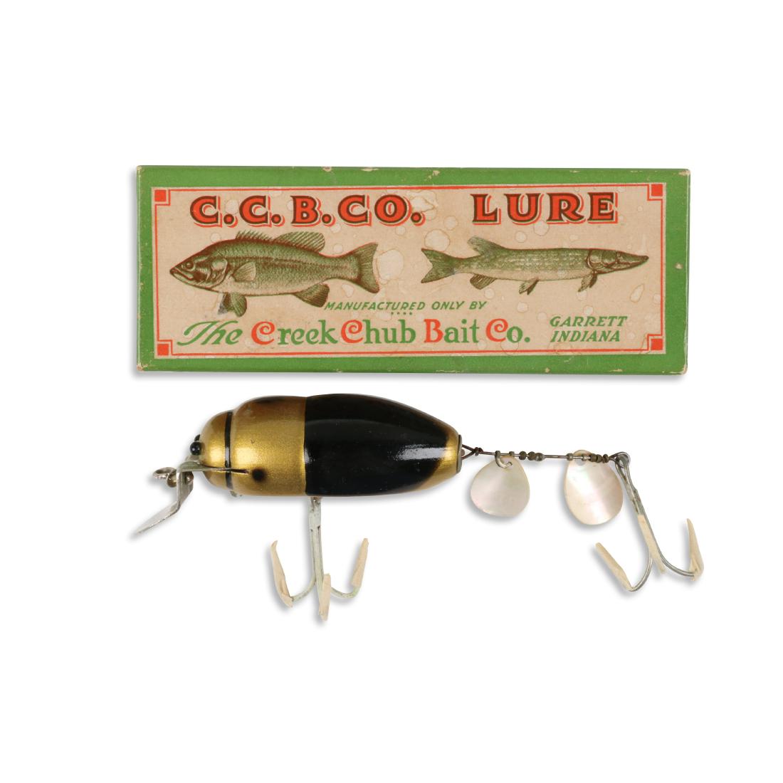 Creek Chub Beetle (1 of 9)