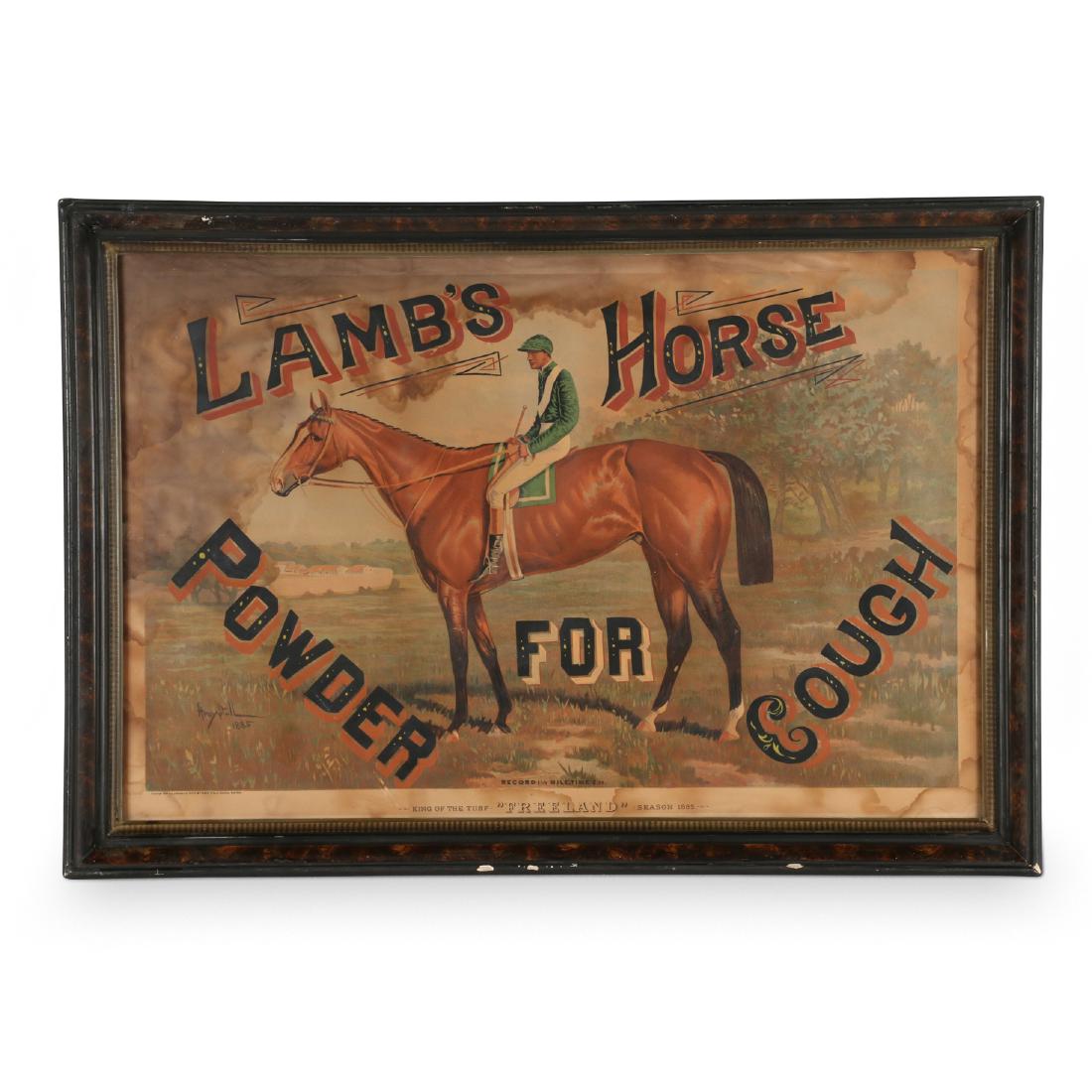 Patent Medicine Advertising Lithograph (1 of 8)