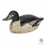 Drake Goldeneye Decoy