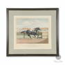 Stainforth, Martin. Apache Race Horse Lithograph