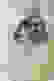 item-103522617=3