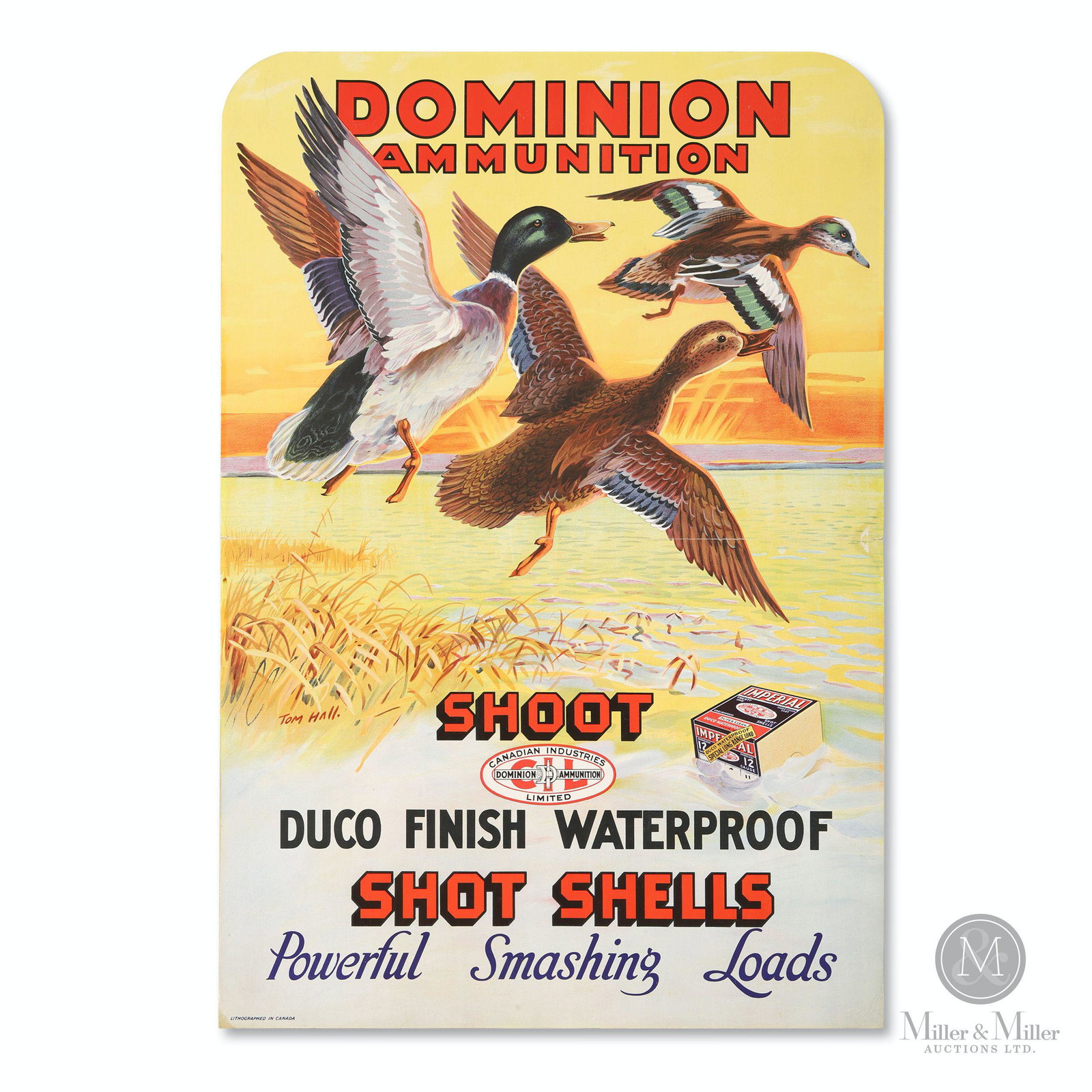 C-I-L Dominion Ammunition Cardboard Lithograph: Canadian. 1933. Lithographed cardboard. Artwork by illustration artist Tom Hall, signed lower left quarter of image. Features central, horizontal fold with easel back for countertop display. Marked, "