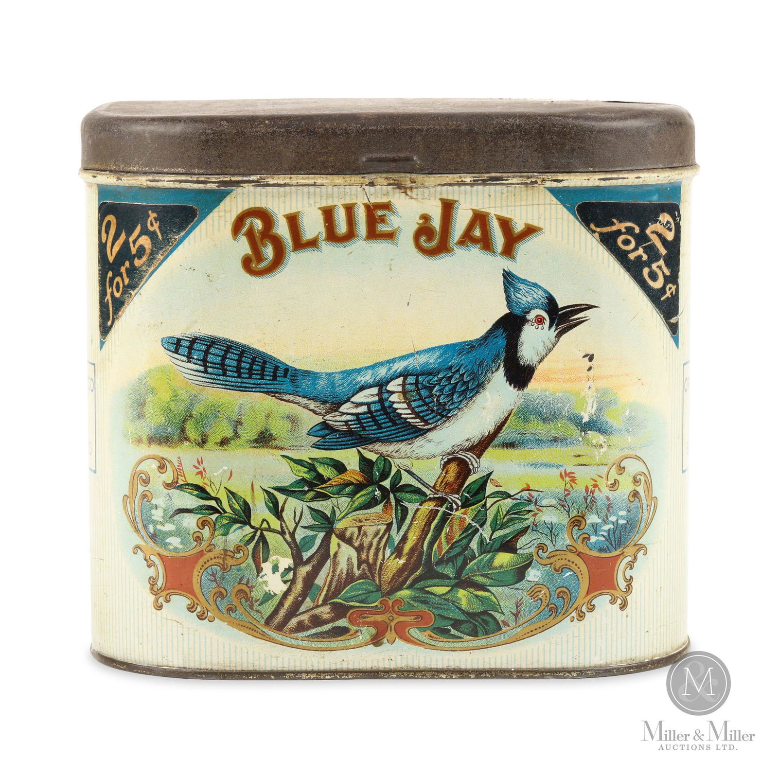 Blue Jay Cigars Tin