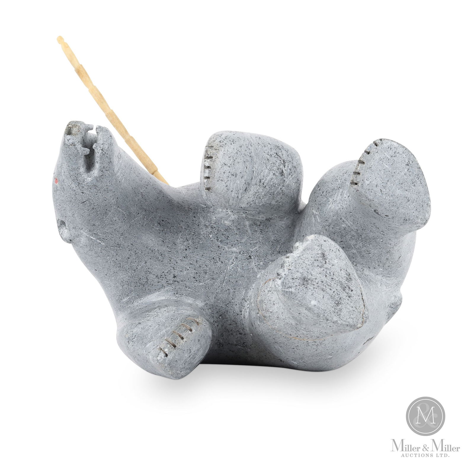 Wounded polar bear ca 1955 (1 of 9)