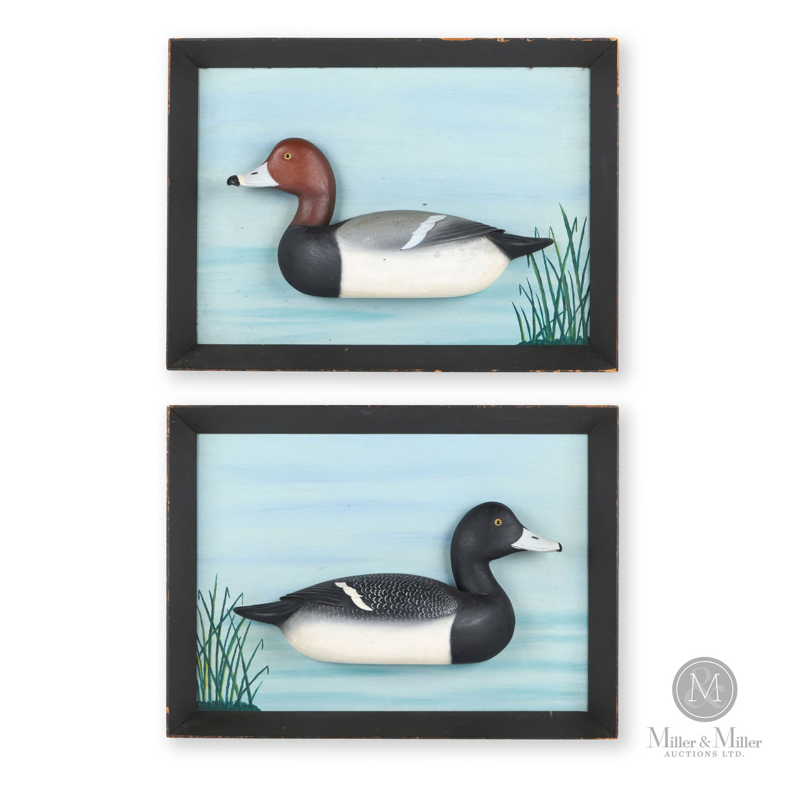Duck Plaques - Alain de L. Macdonald (1 of 14)