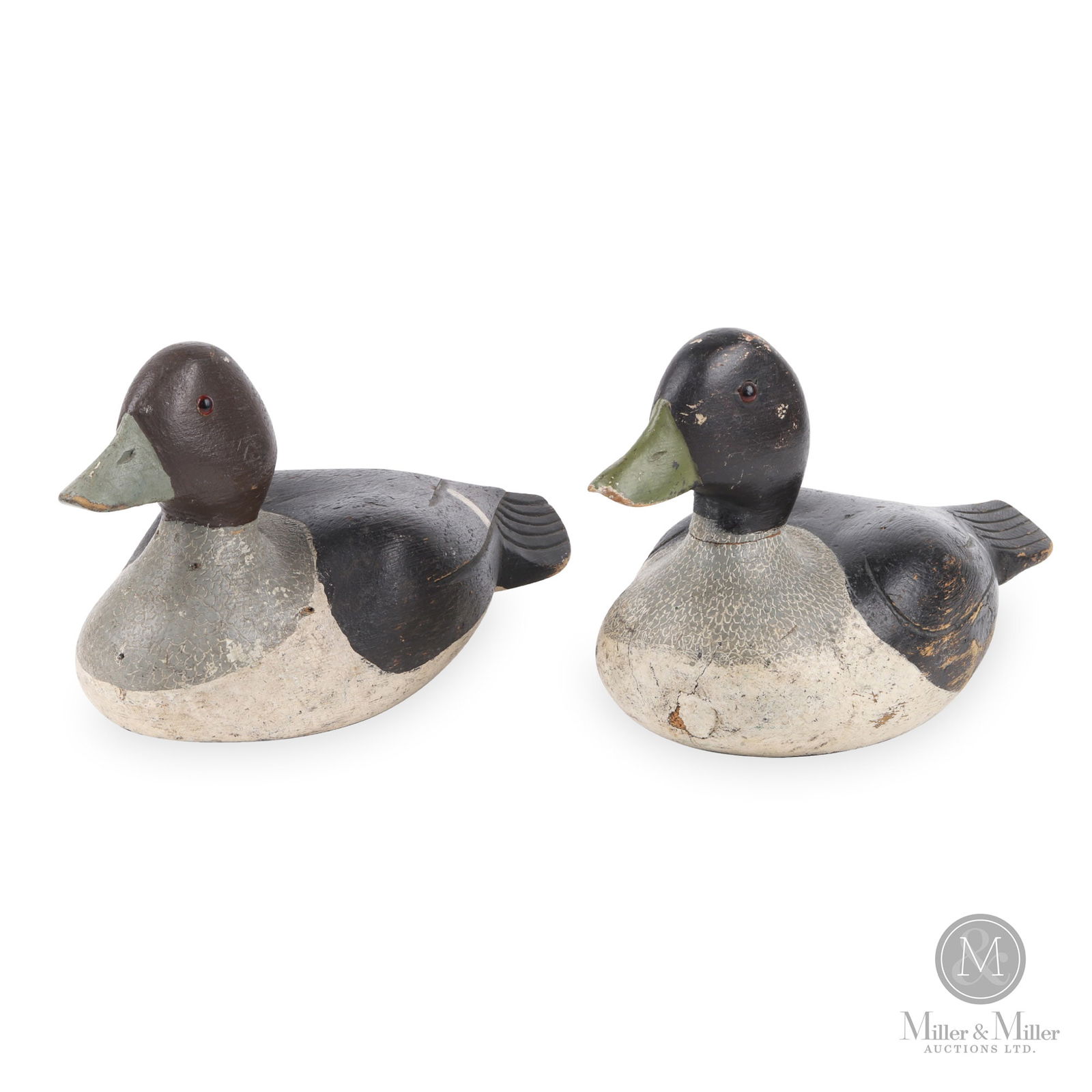 Quebec Brown Head Blue Bill Pair (1 of 9)