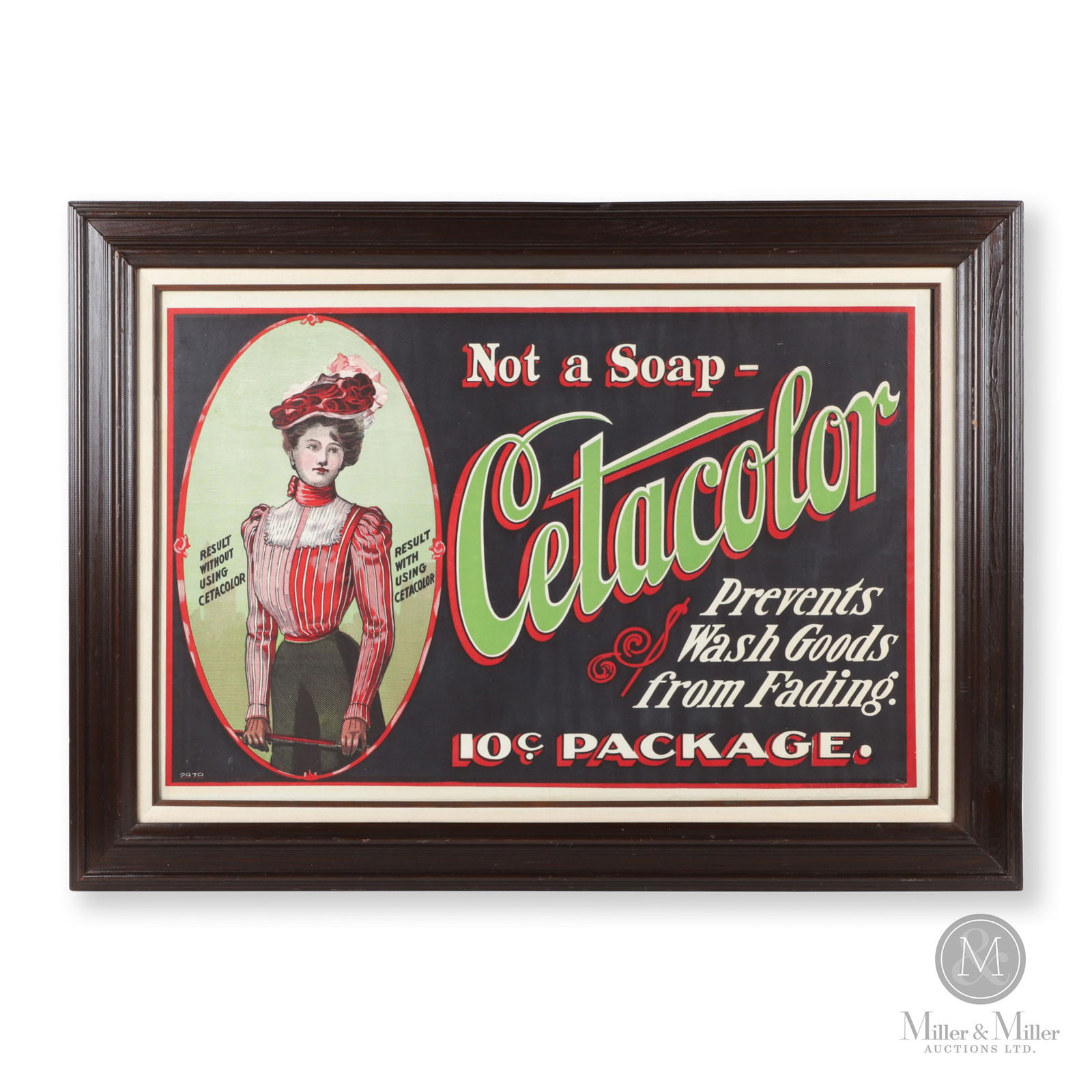 Cetacolor Laundry Additive Canvas Banner (1 of 6)