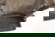 item-207398117=9