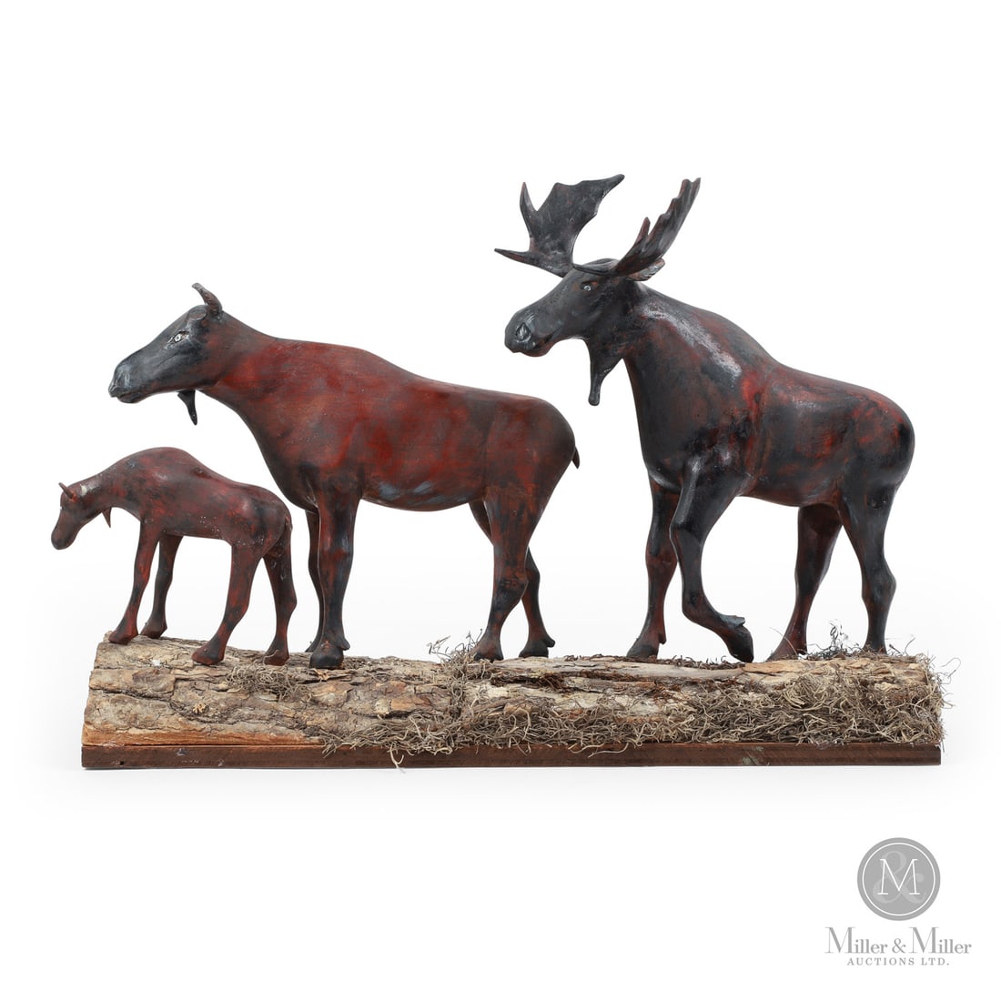 Clement Belliveau Moose Sculpture: Canadian. Wood. An exceptional sculpture by Clement Belliveau of a moose family (bull, cow, and calf) in original paint and mounted on the original log bark base. Belliveau was a barber in Belliveau C
