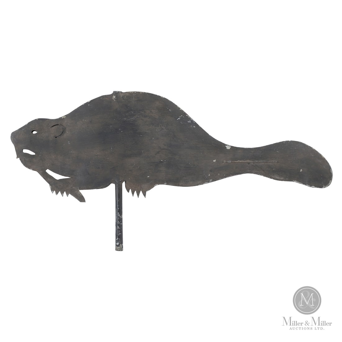 Quebec Beaver Weathervane: Canadian. Metal. A sheet metal beaver weathervane in original paint from Danville in Quebec's Eastern Townships. Slight swell-bodied form made of two sheets soldered together. Ex. Marjorie Larmon