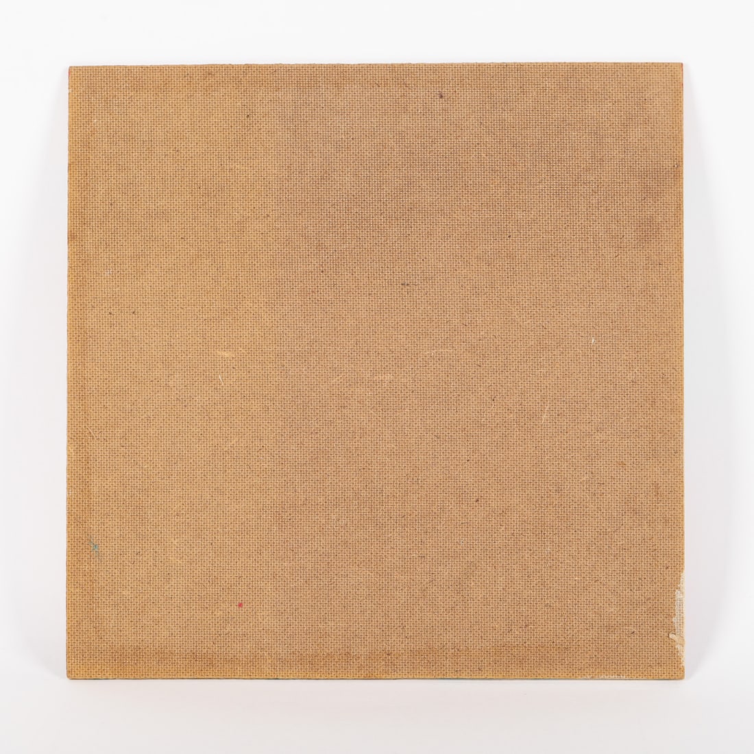 Joe Sleep Seagull Eating Fish - 3