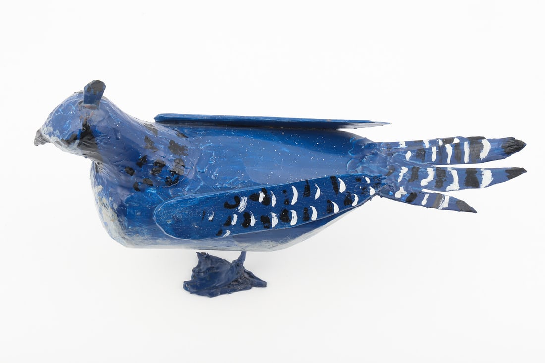 Eddie Mandaggio Blue Jay - 6