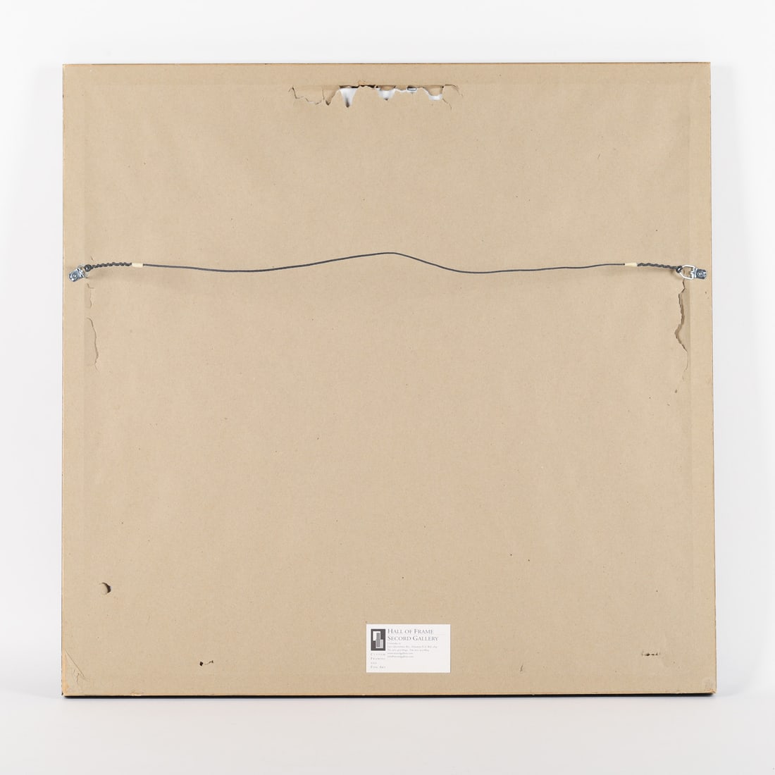 Joe Sleep Cat & Horses - 4