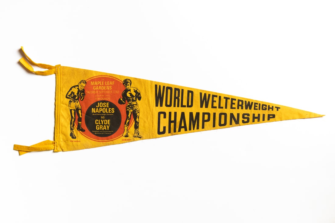 Pennants Including "Fight of the Century" (28) - 8