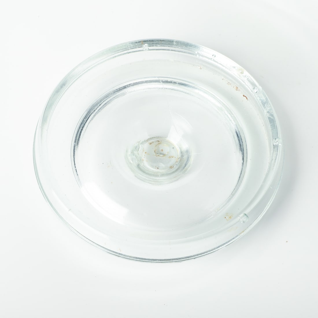 Sydney Dingo, 1/2 Gal - 10