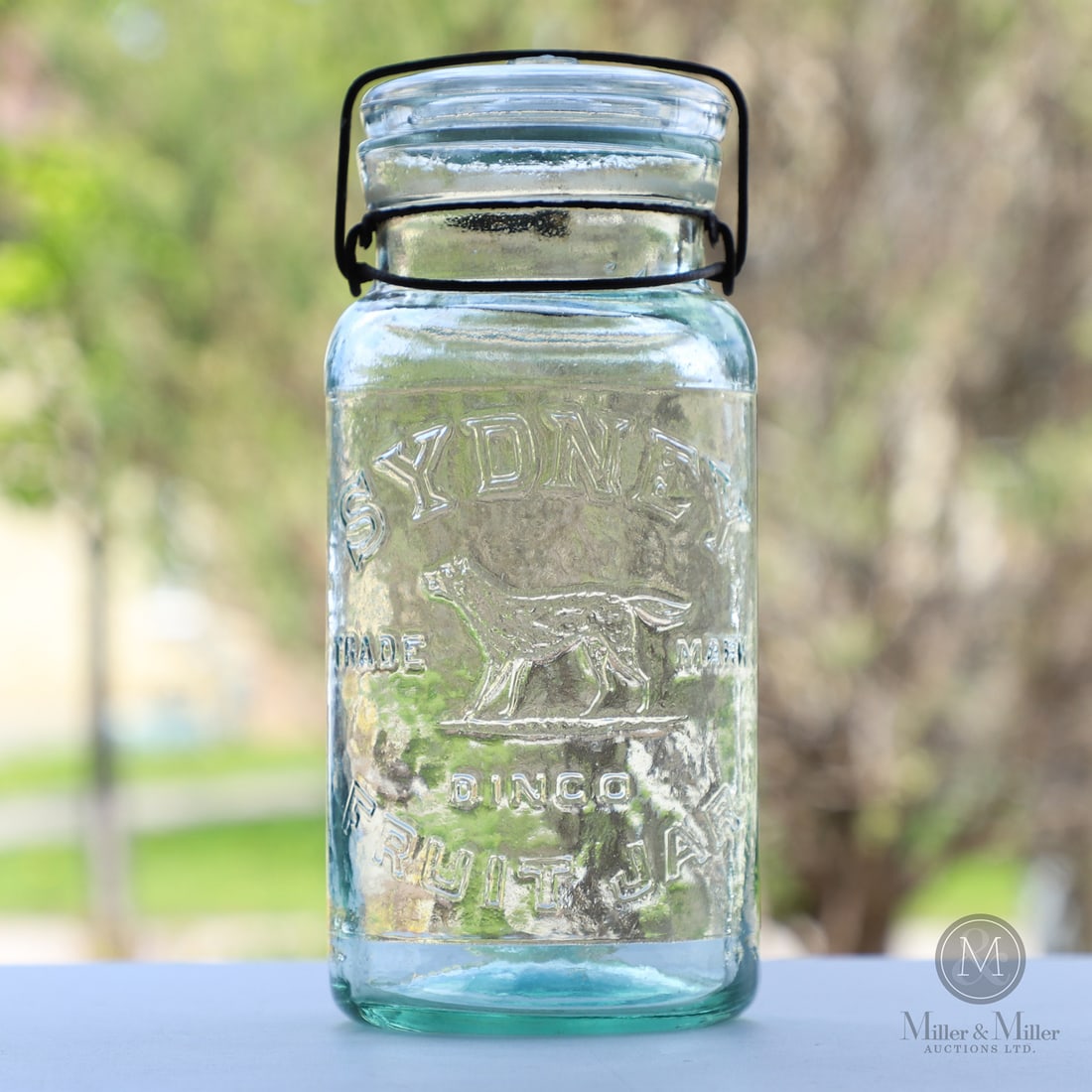 Sydney Dingo, 1/2 Gal: Size 10" x 4 1/2" base diameter. Medium Glass.