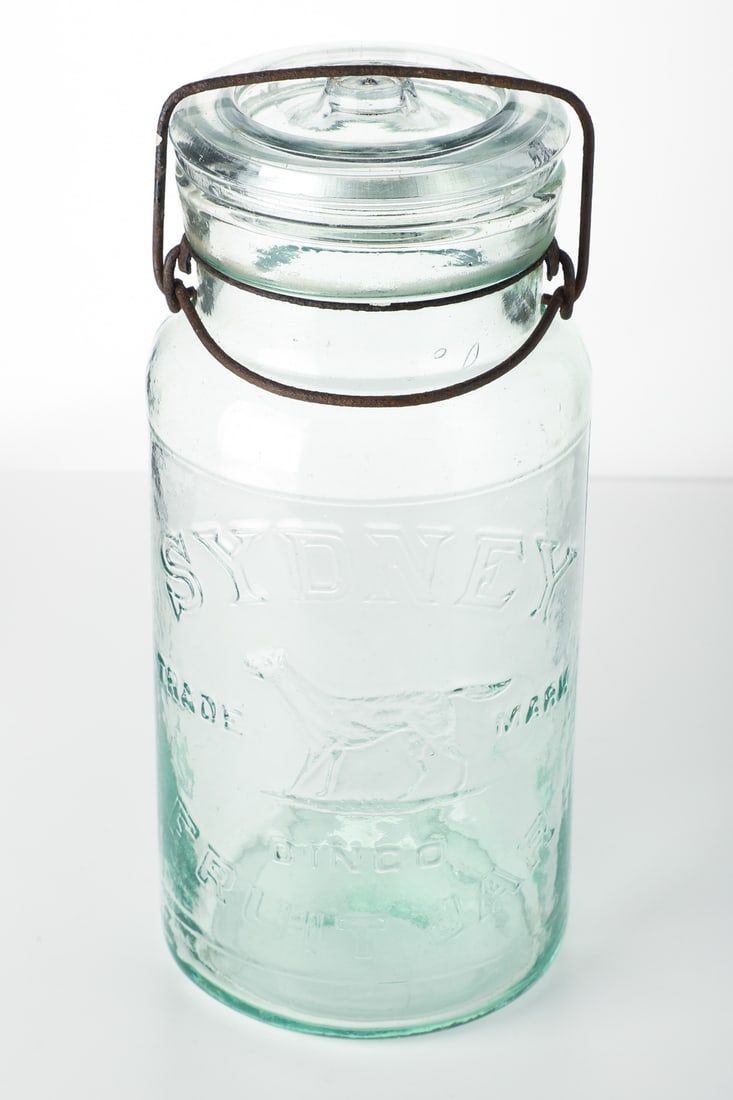 Sydney Dingo, 1/2 Gal - 3