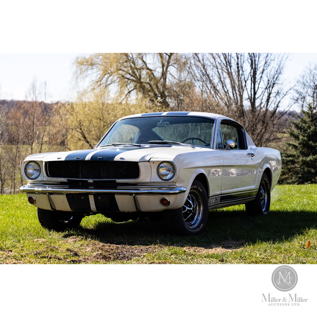 1966 Ford Mustang Fastback (1 of 20)
