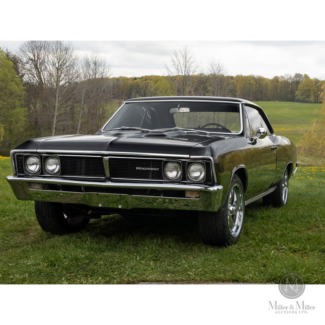 Pontiac Beaumont (1 of 19)