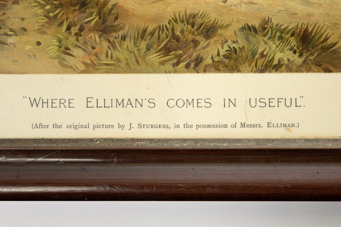 Elliman's Embrocation Advertising Poster - 9