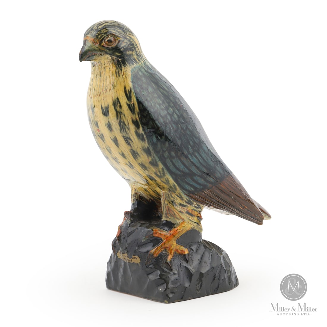 Yvon Coté Grey Hawk (1 of 9)