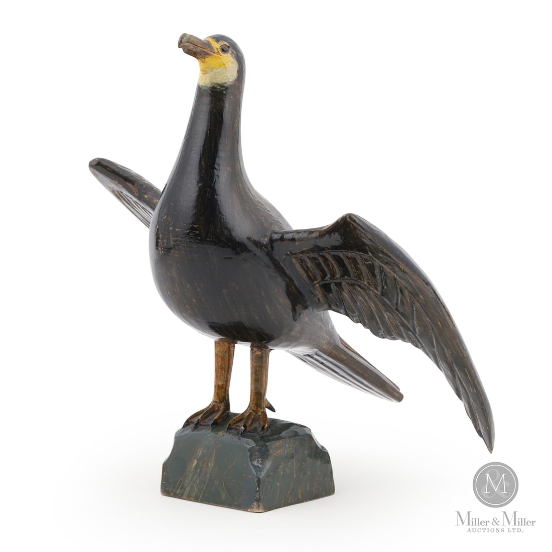 Yvon Coté Grey Cormorant (1 of 7)