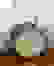 item-60535033=2