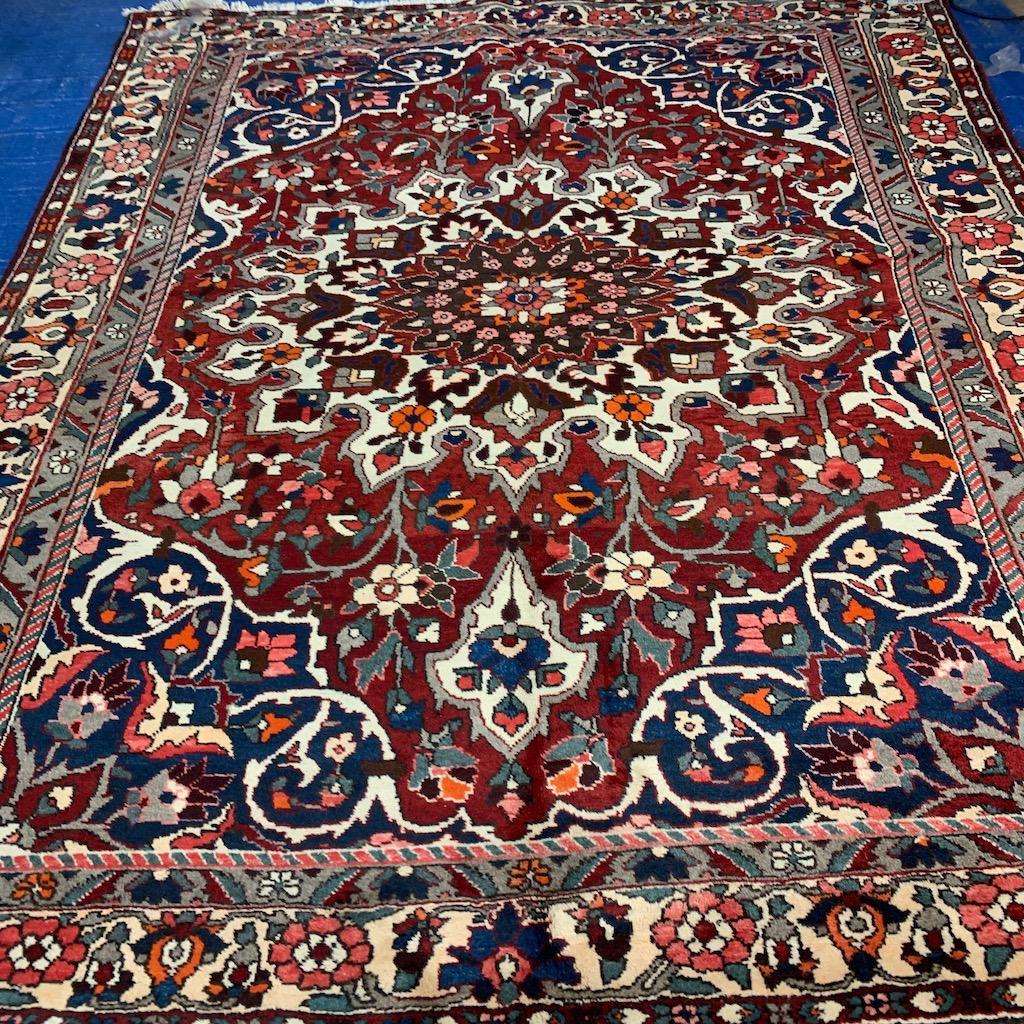 Hand Knotted Persian Bahkteri Rug 10.4x7.1 ft (1 of 9)