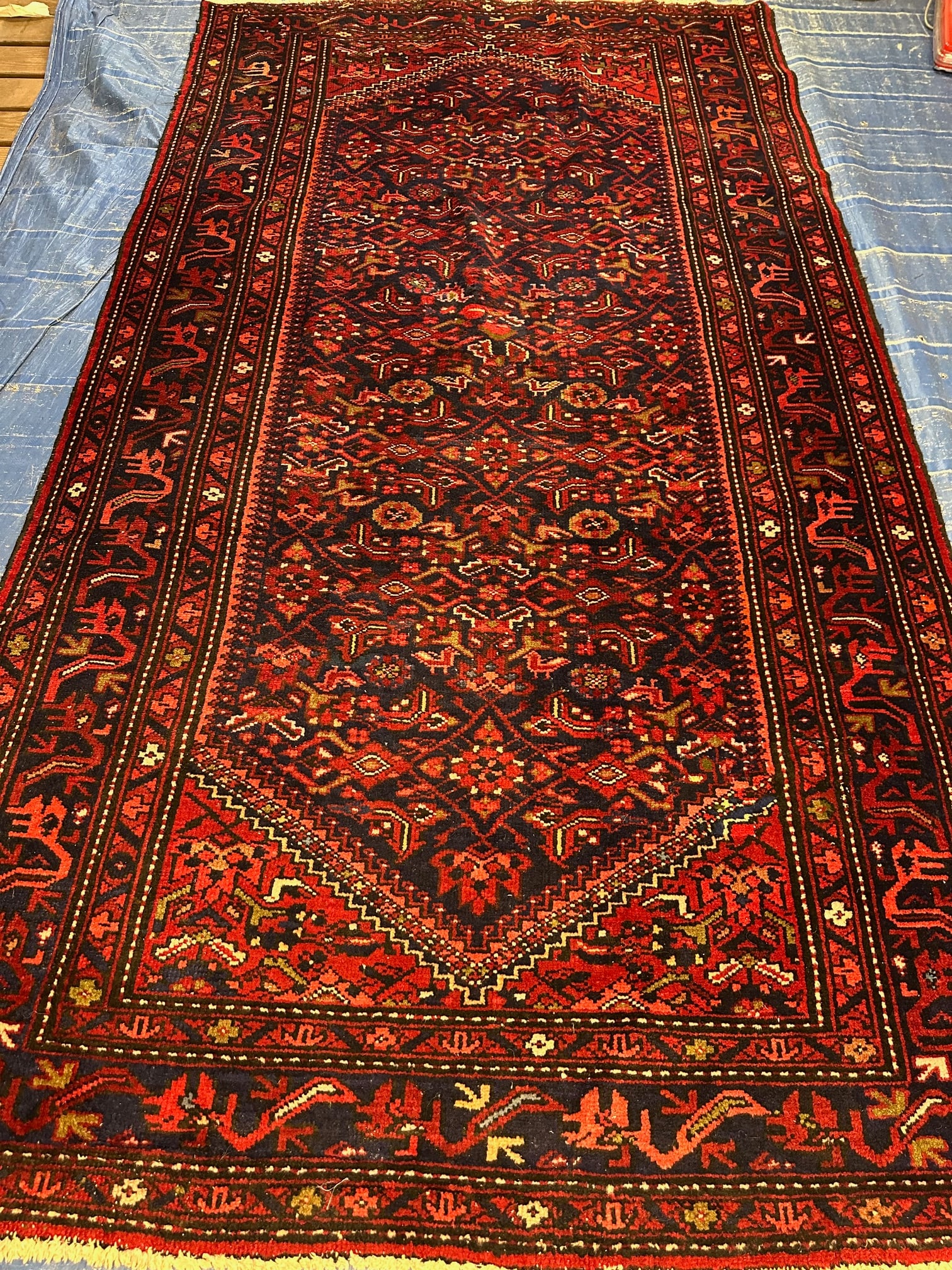 Hand Knotted Persian Hamedan Rug 9x5.2 ft: Hand Knotted Persian Hamedan Rug 9x5.2 ft