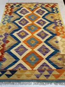 Hand Knotted Kilm Rug 4x3 ft