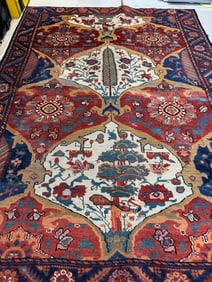 Hand Knotted Persian Bahkterie Rug 4x6 ft