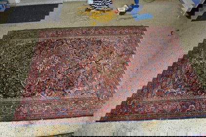 Hand Knotted Persian Hamedan Rug 4x6ft