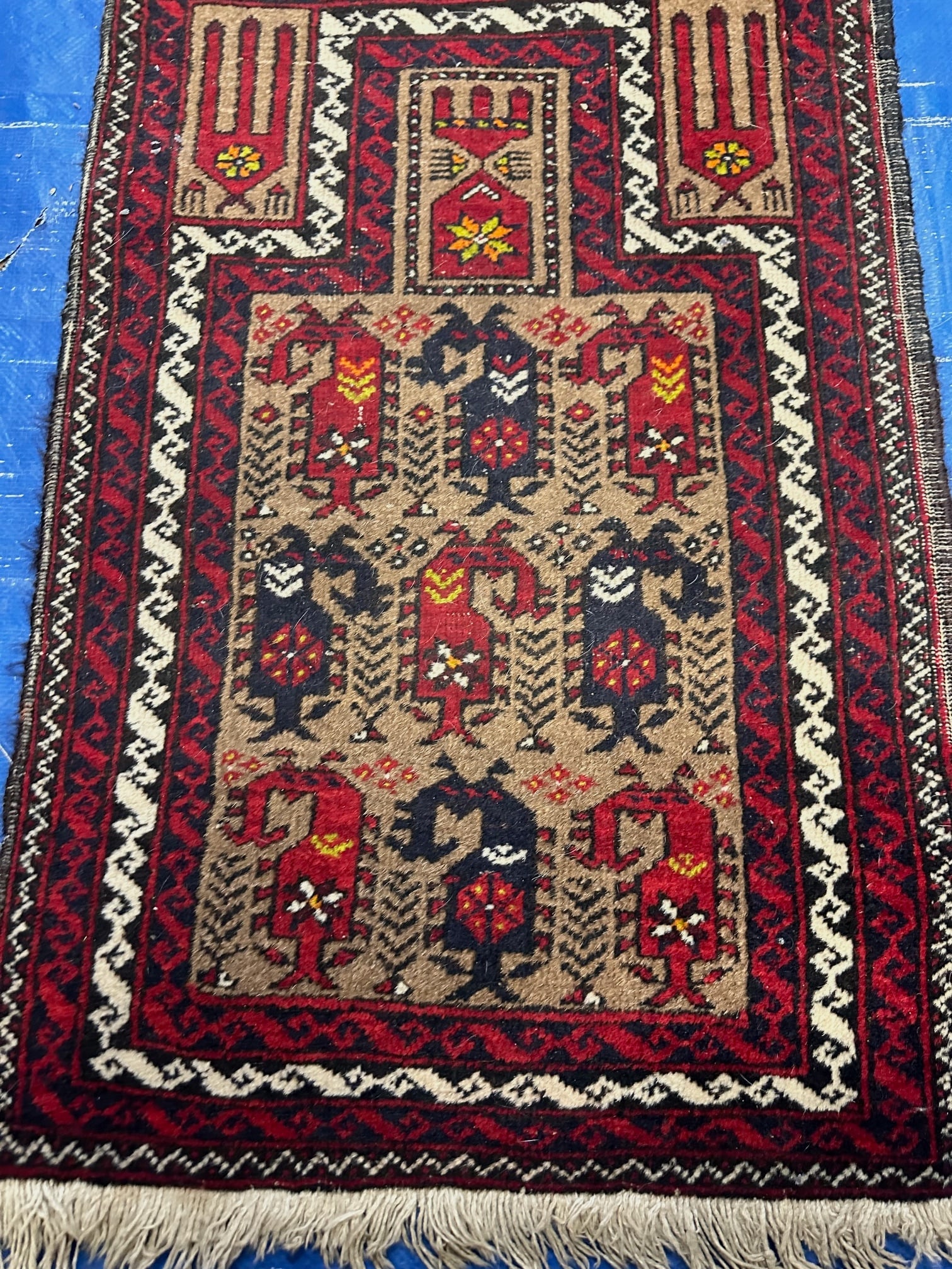 Hand Knotted Persian Balouch Rug 1.8x2.8 ft: Hand Knotted Persian Balouch Rug 1.8x2.8 ft
