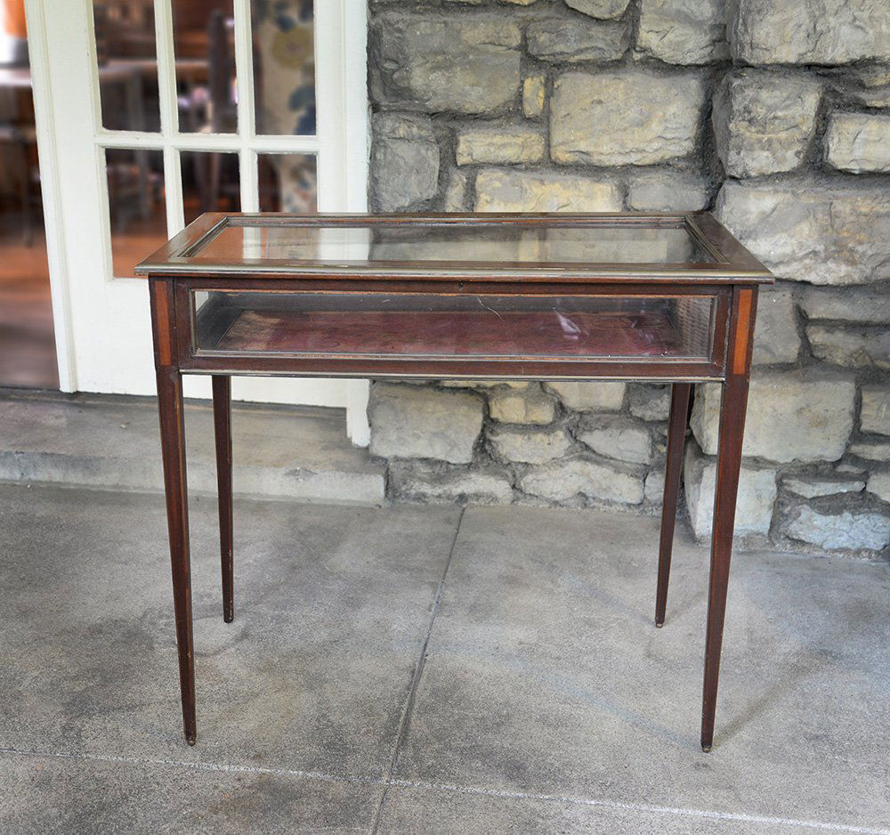 19th Century Table Top Vitrine Display Case (1 of 4)