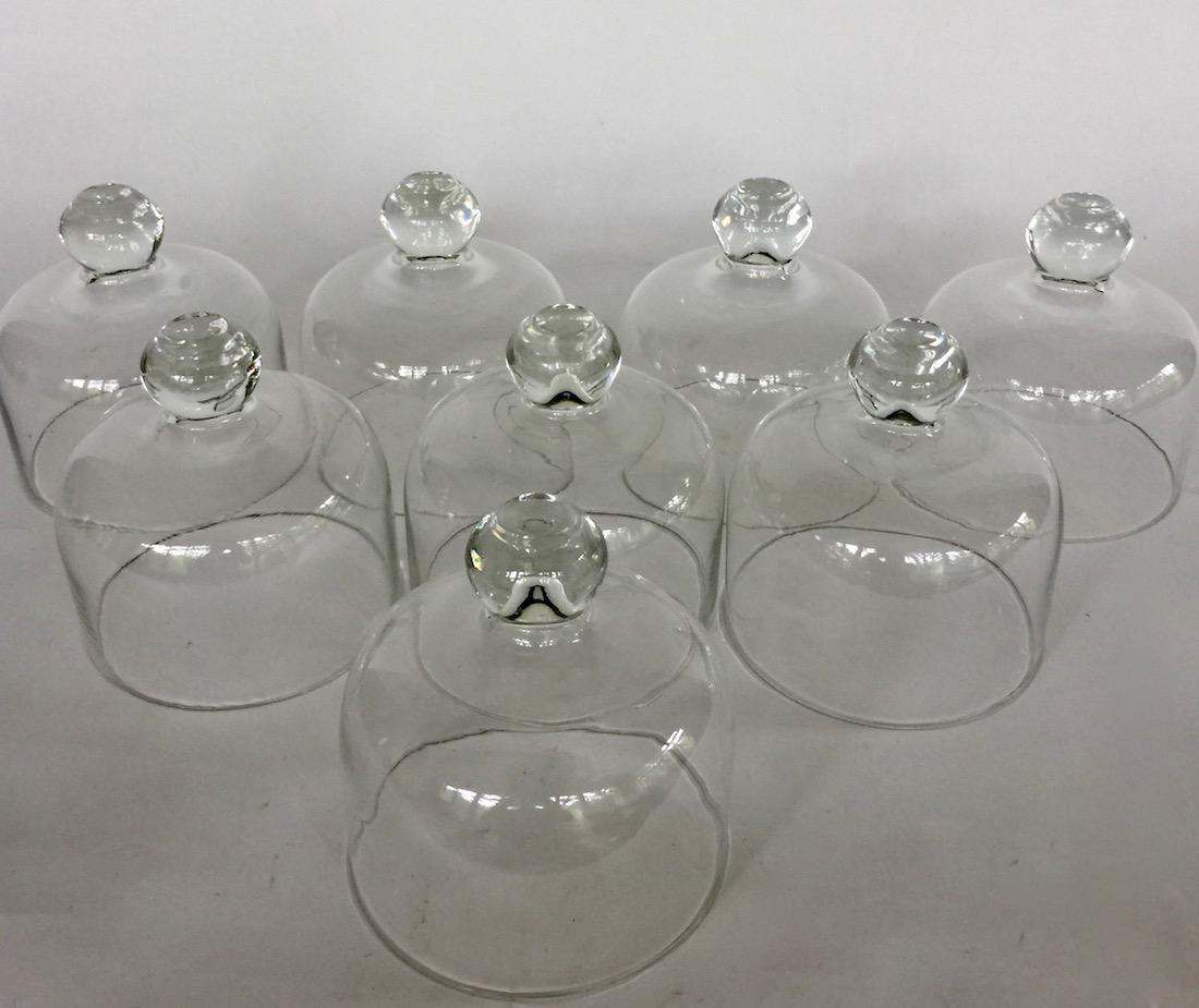 8 Blown Glass Cloche Venison Covers (1 of 3)