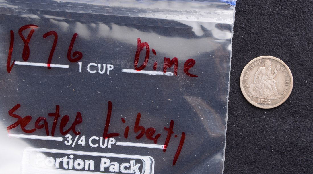 1876 Seated Liberty Dime (1 of 3)