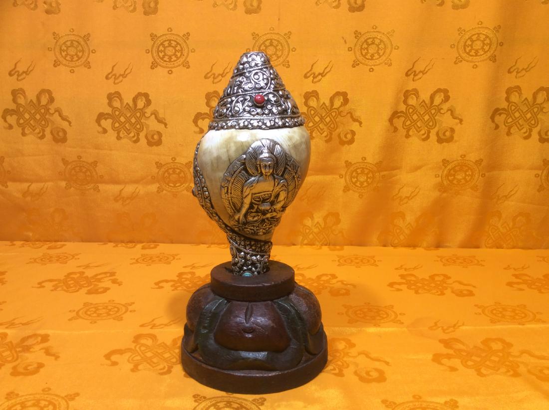 Natural Conch Shell: Natural Tibetan Conch Shell covered with sterling silver and various symbols including a large Buddha of compassion figure ornated turquoise and coral beads. Hand made in Nepal. Size is 9" tall, 4" wi