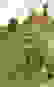 item-57888529=5