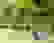 item-57888530=6