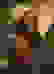 item-59592411=2